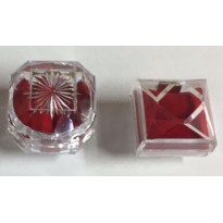 ANILLOS ACRILICOS